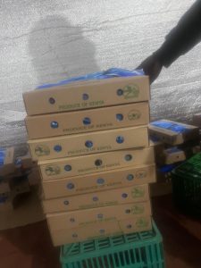 WhatsApp Image 2025-09-19 at 21.52.03 (2)