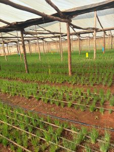 WhatsApp Image 2025-09-19 at 21.52.03