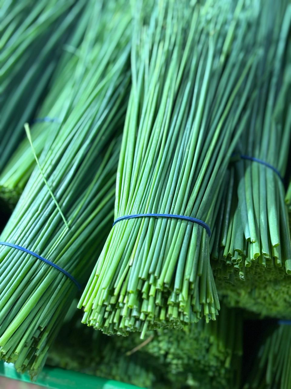 WhatsApp Image 2025-09-20 at 14.57.59