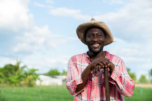 Portrait of smiling african farmer man farmer at a field. Portrait of smiling african man farmer at a field.